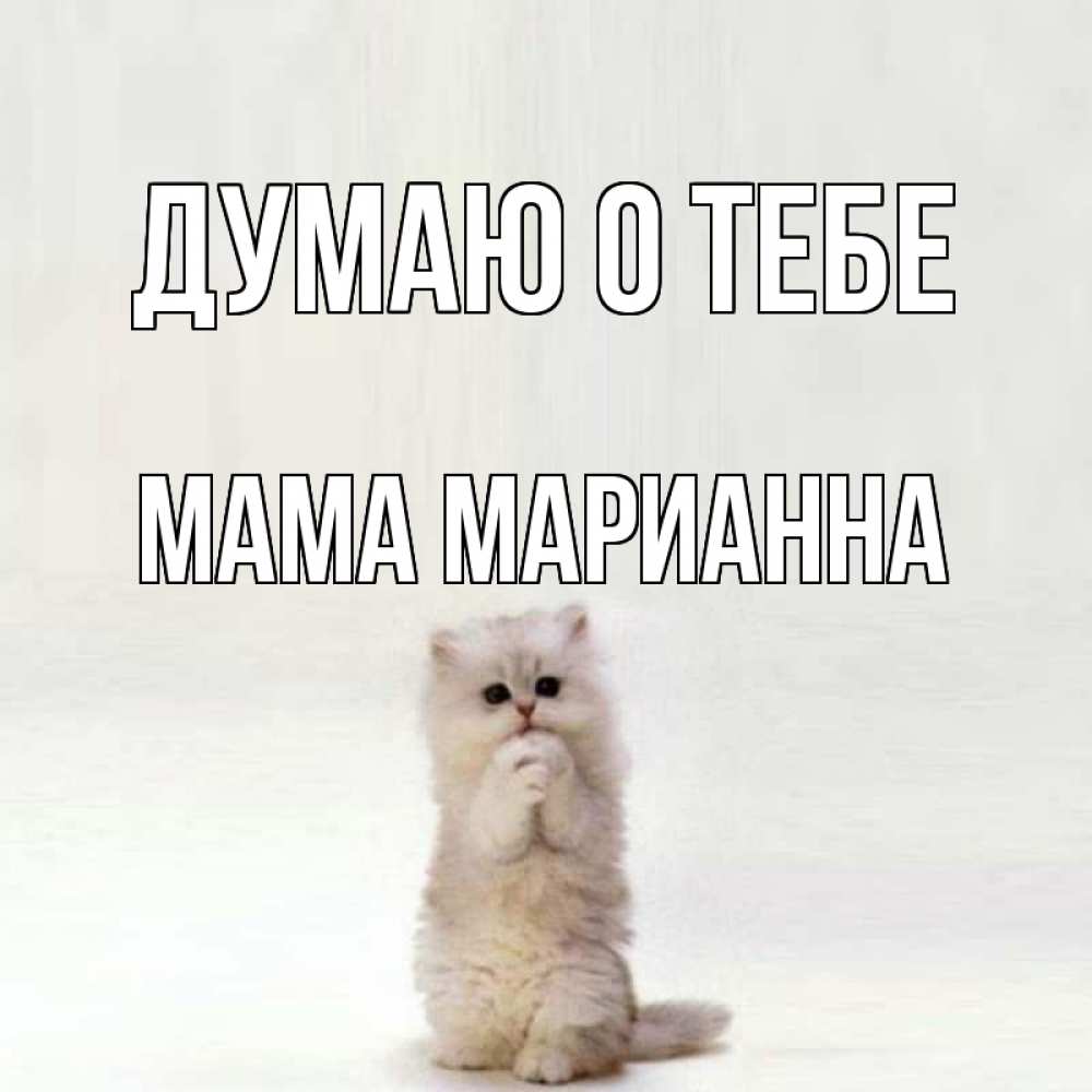 Открытка на каждый день с именем, Мама-Марианна Думаю о тебе кот стоит на задних лапах Прикольная открытка с пожеланием онлайн скачать бесплатно 