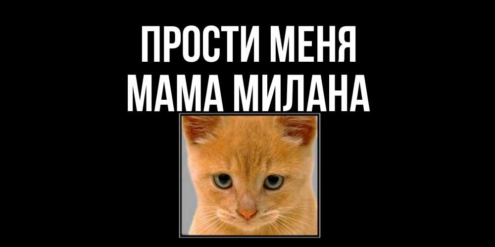 Открытка на каждый день с именем, Мама-Милана Прости меня рыжий грустный кот просит прощения Прикольная открытка с пожеланием онлайн скачать бесплатно 