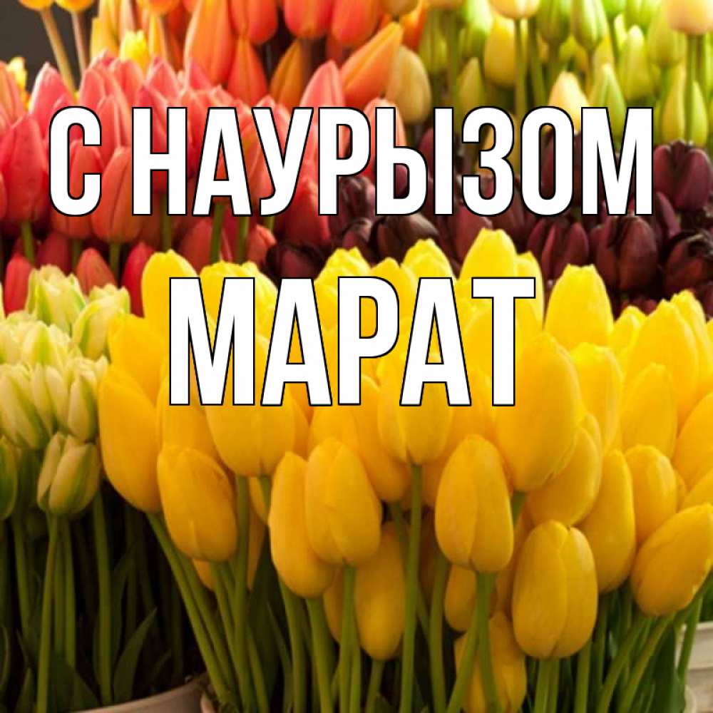Открытка на каждый день с именем, Марат С наурызом цветы Прикольная открытка с пожеланием онлайн скачать бесплатно 