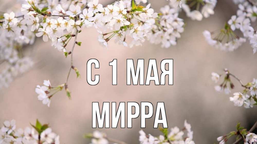 Открытка на каждый день с именем, Мирра С 1 мая С 1 мая Прикольная открытка с пожеланием онлайн скачать бесплатно 