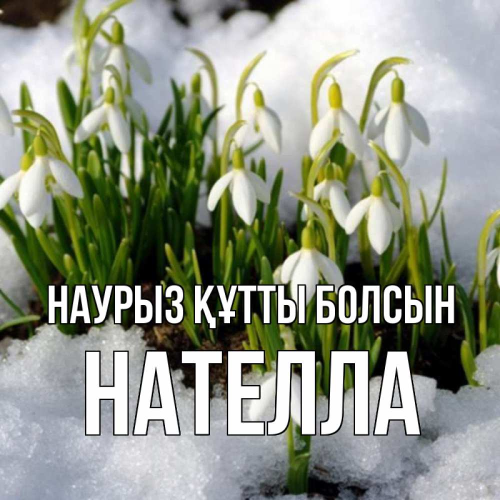 Открытка на каждый день с именем, Нателла Наурыз құтты болсын цветы весенние Прикольная открытка с пожеланием онлайн скачать бесплатно 