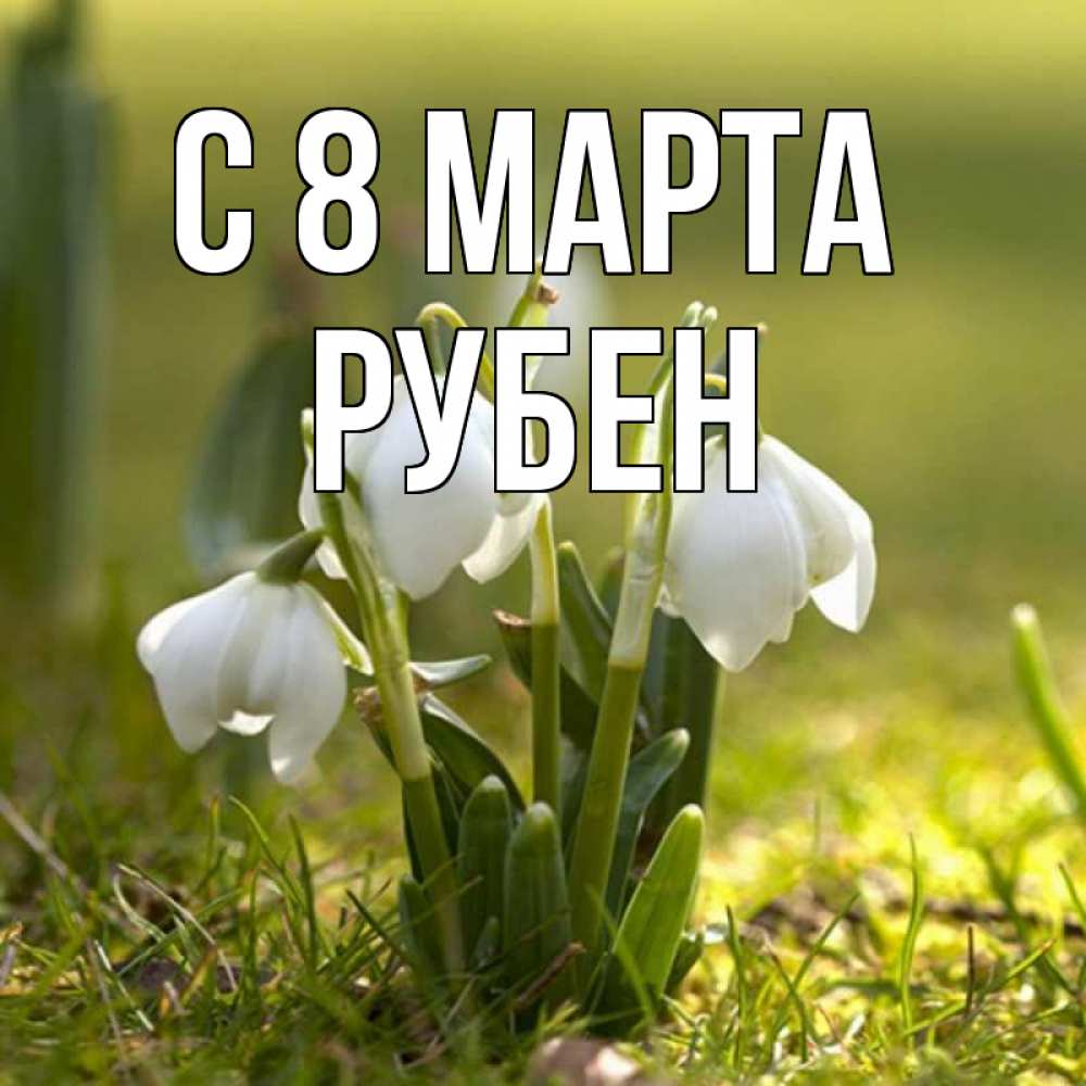 Открытка на каждый день с именем, Рубен С 8 МАРТА ранние цветы 2 Прикольная открытка с пожеланием онлайн скачать бесплатно 