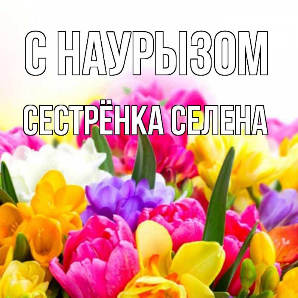 Открытка на каждый день с именем, Сестрёнка-Селена С наурызом тюльпаны Прикольная открытка с пожеланием онлайн скачать бесплатно 