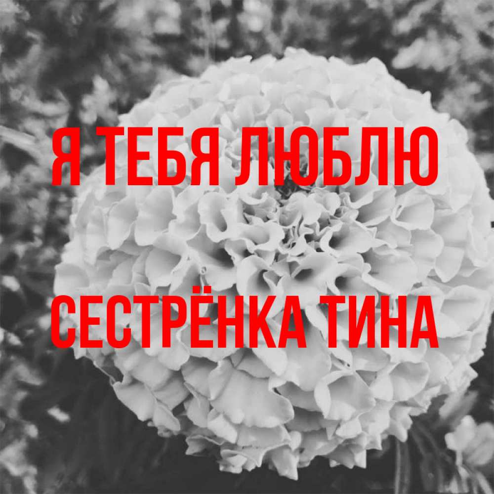 Открытка на каждый день с именем, Сестрёнка-Тина Я тебя люблю подпись Прикольная открытка с пожеланием онлайн скачать бесплатно 