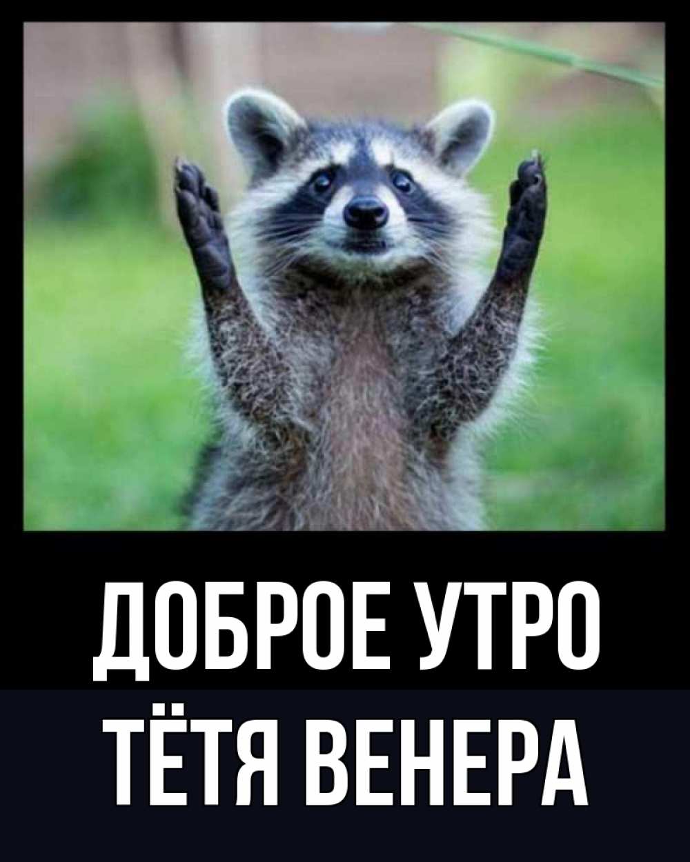 Открытка на каждый день с именем, Тётя-Венера Доброе утро хорошее настроение утречком Прикольная открытка с пожеланием онлайн скачать бесплатно 