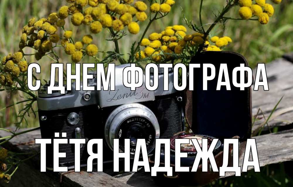 Открытка на каждый день с именем, Тётя-Надежда С днем фотографа с днем фотографа Прикольная открытка с пожеланием онлайн скачать бесплатно 
