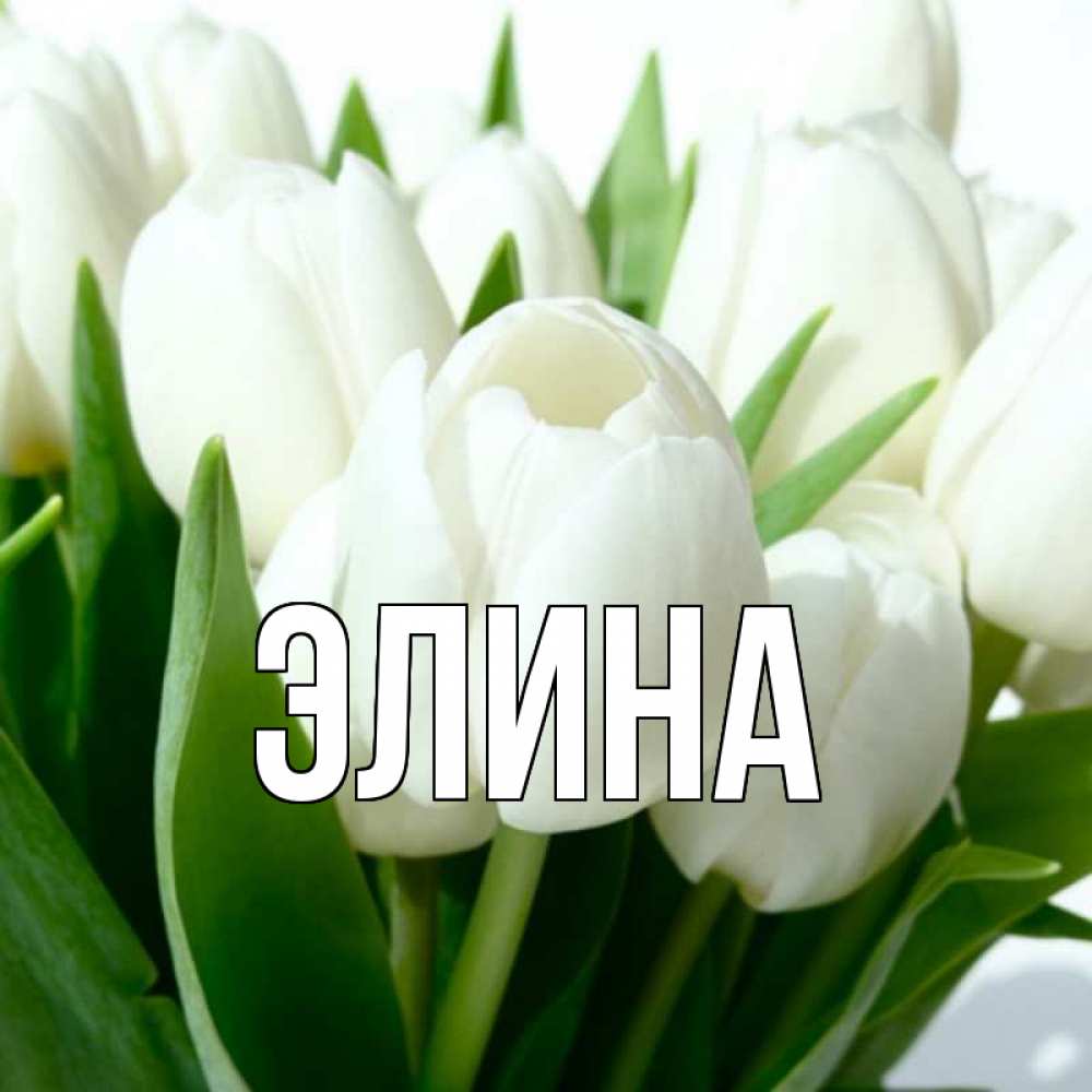 Открытка на каждый день с именем, Элина Главная открытки на каждый день по именам Прикольная открытка с пожеланием онлайн скачать бесплатно 
