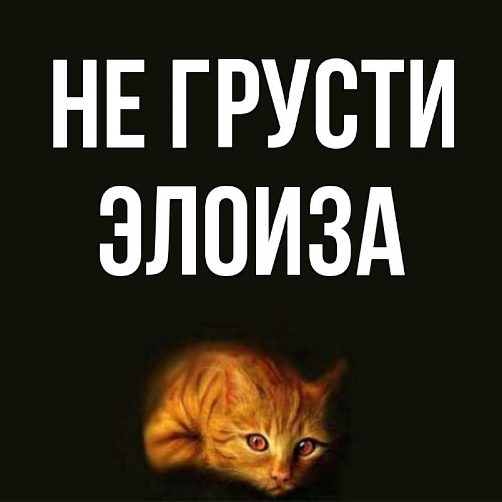 Открытка на каждый день с именем, Элоиза Не грусти лежащий кот в темноте Прикольная открытка с пожеланием онлайн скачать бесплатно 