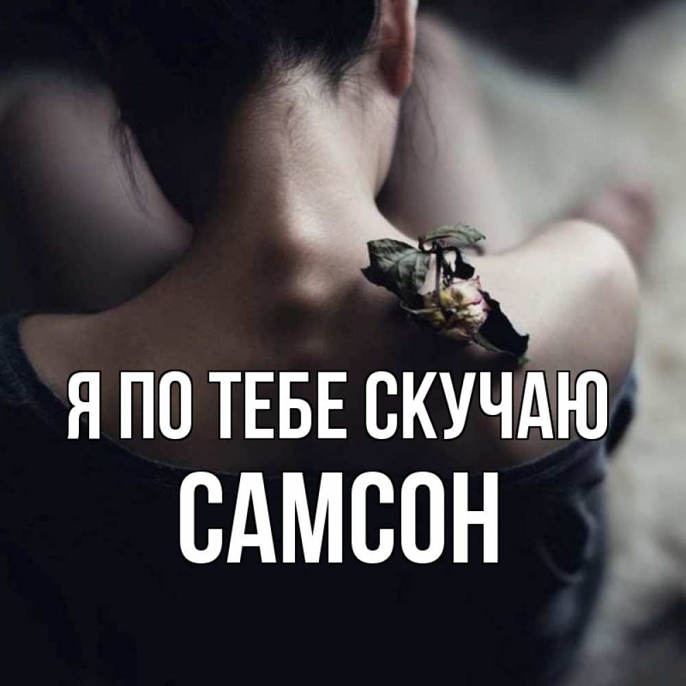 Открытка на каждый день с именем, Самсон Я по тебе скучаю засох цветок Прикольная открытка с пожеланием онлайн скачать бесплатно 