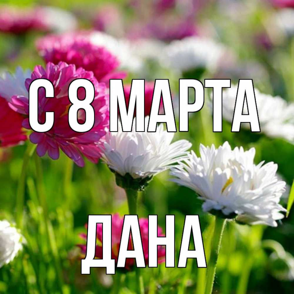 Открытка на каждый день с именем, Дана С 8 МАРТА международный женский день 1 Прикольная открытка с пожеланием онлайн скачать бесплатно 