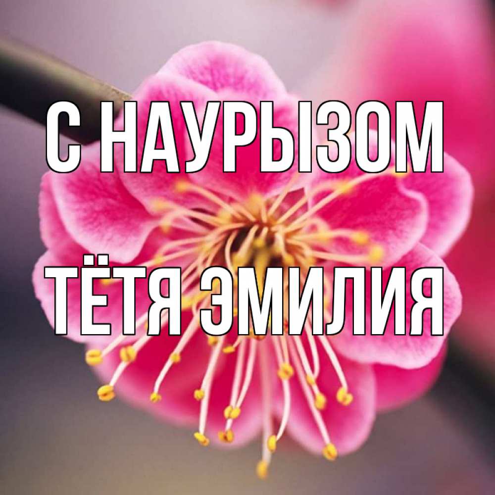 Открытка на каждый день с именем, Тётя-Эмилия С наурызом цветы Прикольная открытка с пожеланием онлайн скачать бесплатно 