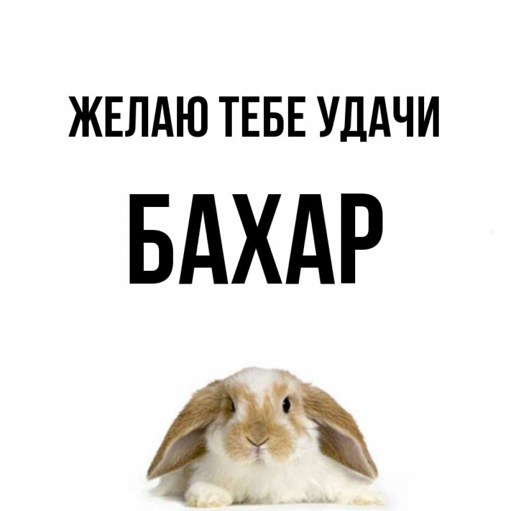 Картинка Желаю тебе удачи, Бахар