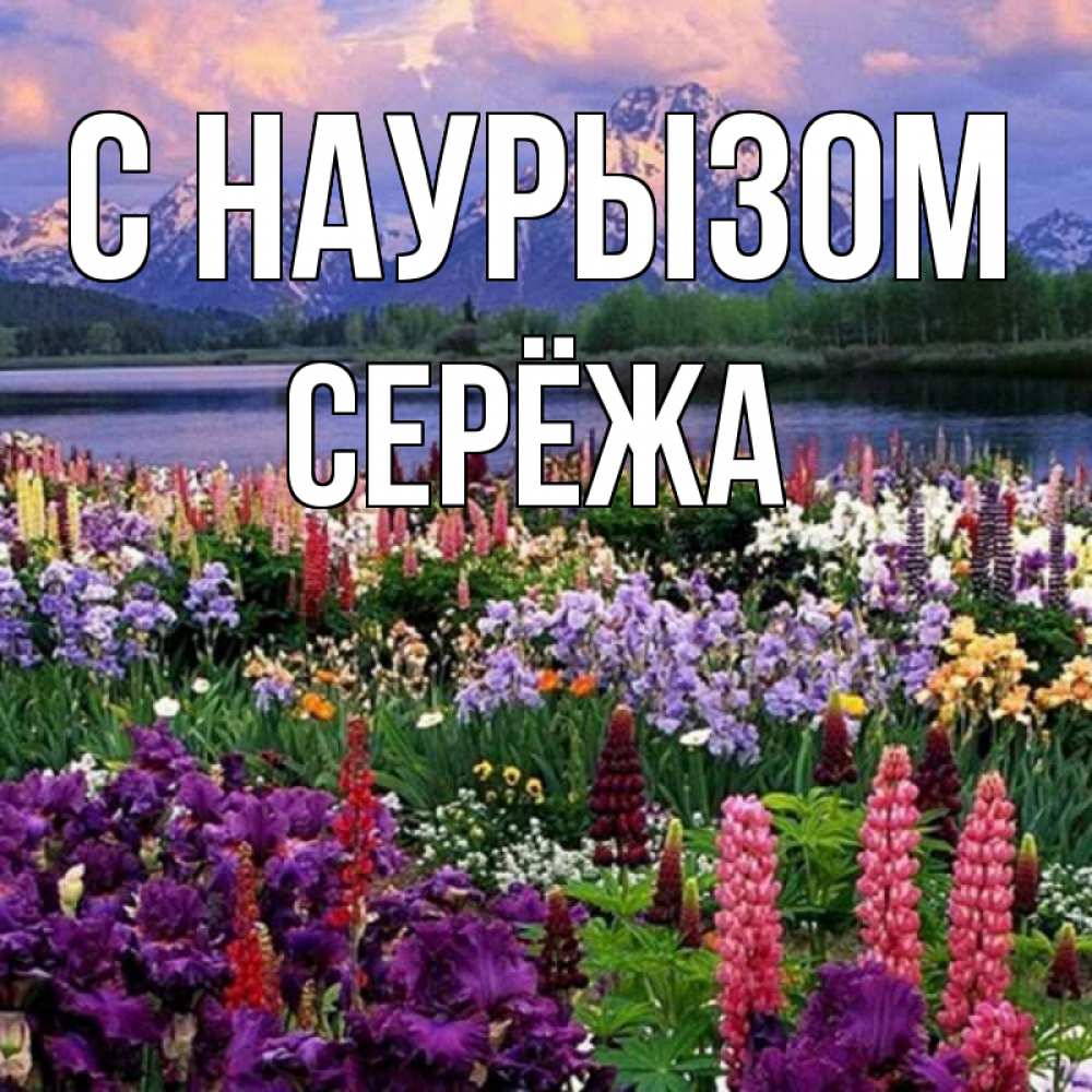 Открытка на каждый день с именем, Серёжа С наурызом праздник весны наурыз Прикольная открытка с пожеланием онлайн скачать бесплатно 