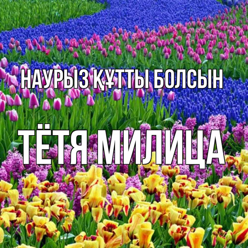 Открытка на каждый день с именем, Тётя-Милица Наурыз құтты болсын цветы Прикольная открытка с пожеланием онлайн скачать бесплатно 