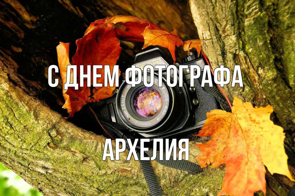 Открытка на каждый день с именем, Архелия С днем фотографа с днем фотографа 1 Прикольная открытка с пожеланием онлайн скачать бесплатно 