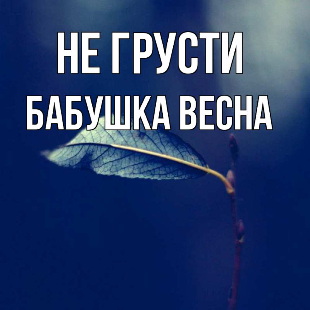 Открытка на каждый день с именем, Бабушка-Весна Не грусти растение Прикольная открытка с пожеланием онлайн скачать бесплатно 