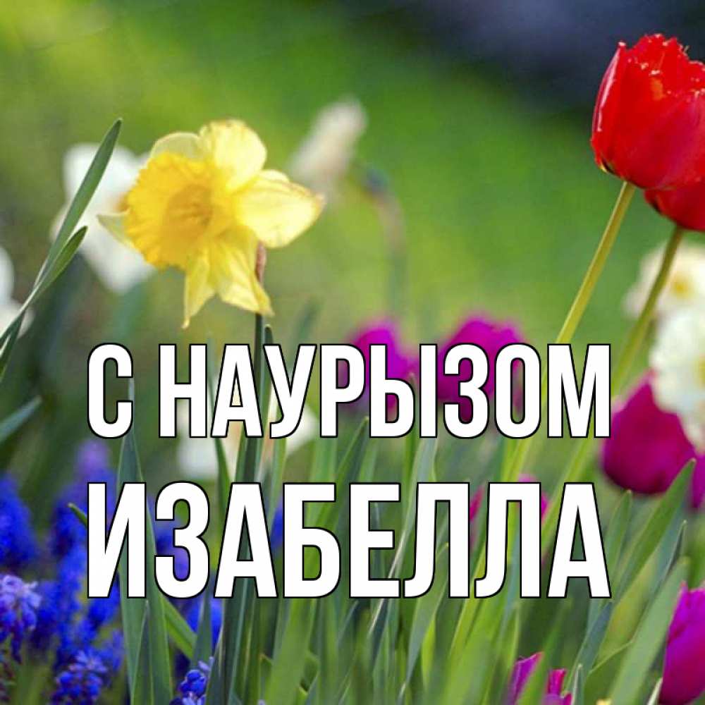 Открытка на каждый день с именем, Изабелла С наурызом праздник весны наурыз 3 Прикольная открытка с пожеланием онлайн скачать бесплатно 