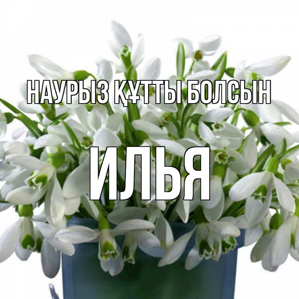 Открытка на каждый день с именем, Илья Наурыз құтты болсын цветы к наурызу Прикольная открытка с пожеланием онлайн скачать бесплатно 