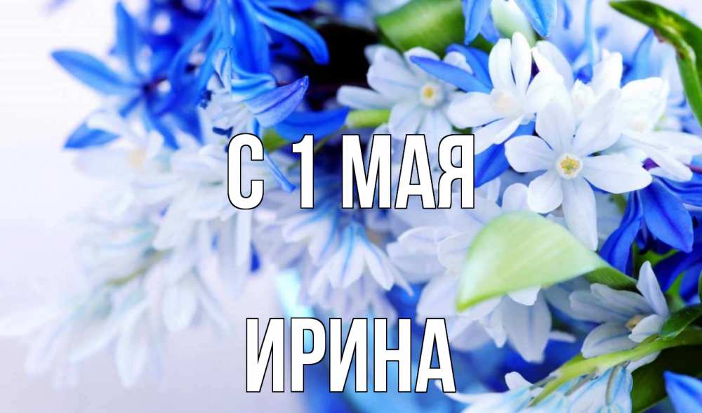 Открытка на каждый день с именем, Ирина С 1 мая С 1 мая Прикольная открытка с пожеланием онлайн скачать бесплатно 