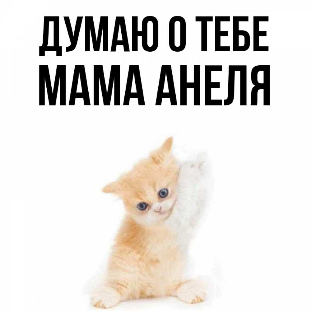 Открытка на каждый день с именем, Мама-Анеля Думаю о тебе зверушки и милота Прикольная открытка с пожеланием онлайн скачать бесплатно 