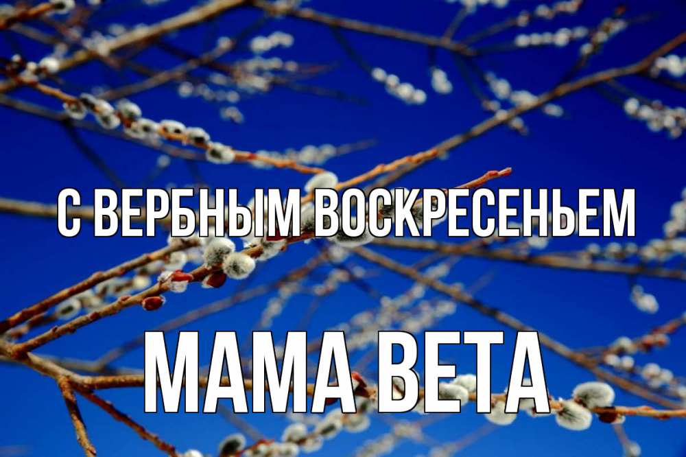 Открытка на каждый день с именем, Мама-Вета С вербным воскресеньем верба Прикольная открытка с пожеланием онлайн скачать бесплатно 