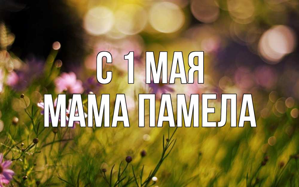 Открытка на каждый день с именем, Мама-Памела С 1 мая С 1 мая Прикольная открытка с пожеланием онлайн скачать бесплатно 