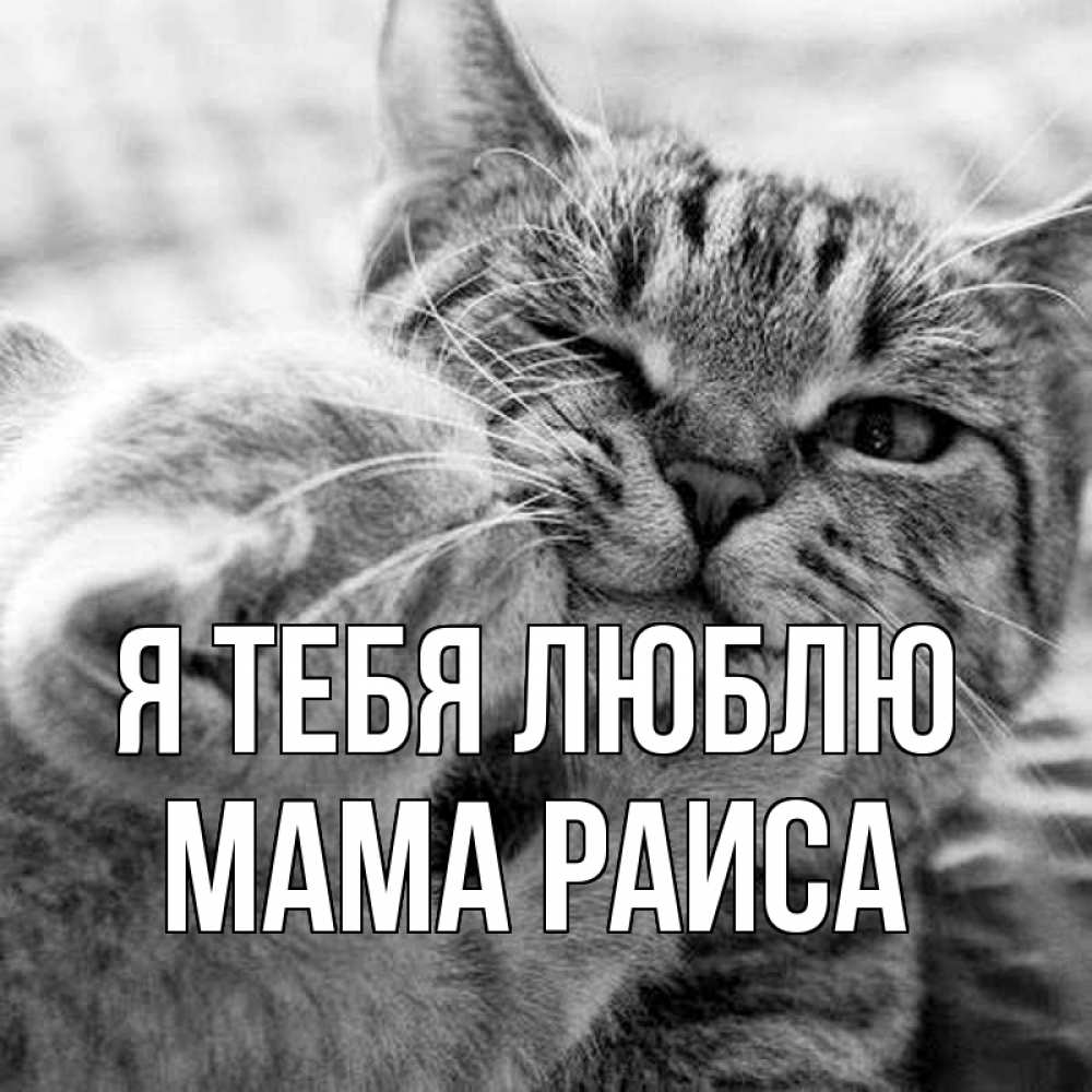 Открытка на каждый день с именем, Мама-Раиса Я тебя люблю коты Прикольная открытка с пожеланием онлайн скачать бесплатно 