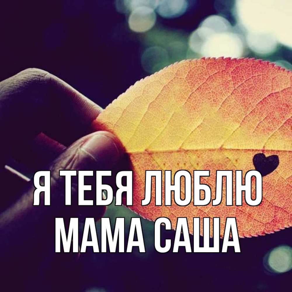 Открытка на каждый день с именем, Мама-Саша Я тебя люблю держу лист Прикольная открытка с пожеланием онлайн скачать бесплатно 
