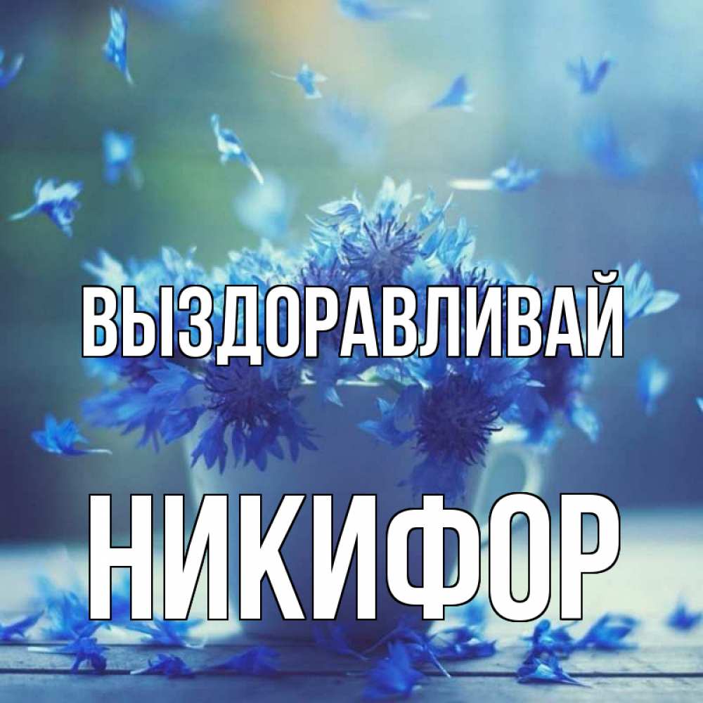 Открытка на каждый день с именем, Никифор Выздоравливай кружка с зельем и цветами Прикольная открытка с пожеланием онлайн скачать бесплатно 