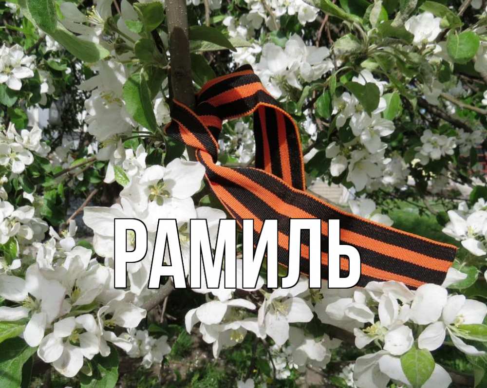 Открытка на каждый день с именем, Рамиль Главная 9 мая Прикольная открытка с пожеланием онлайн скачать бесплатно 