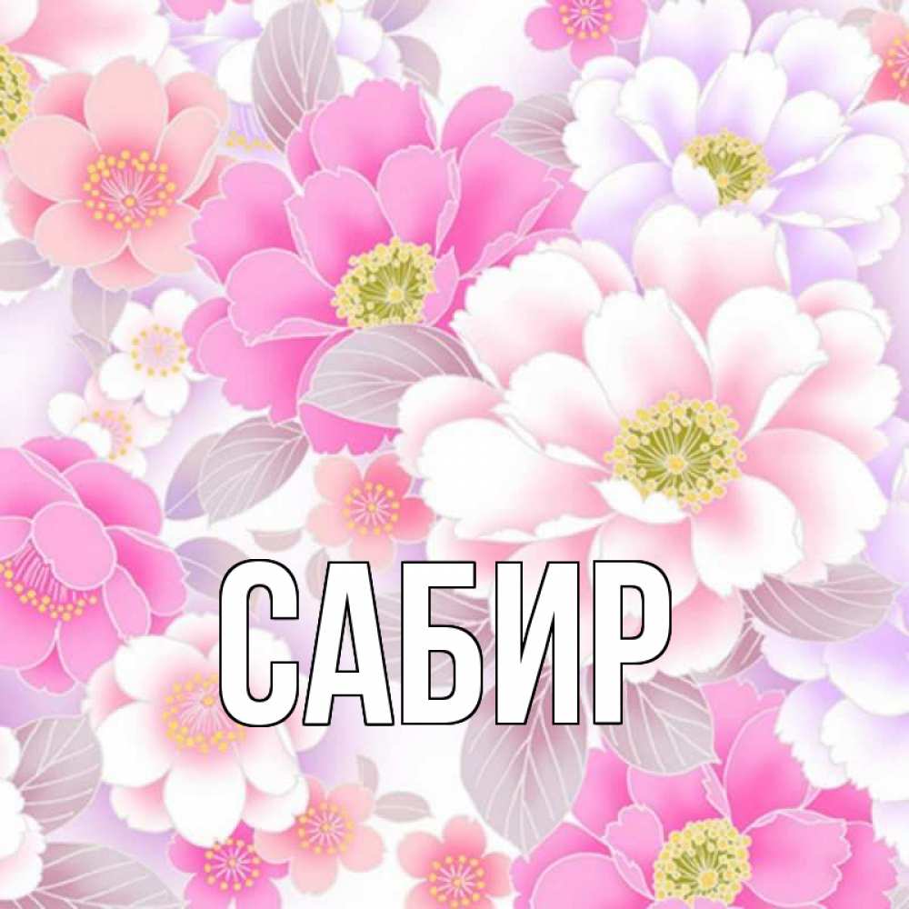 Открытка на каждый день с именем, Сабир Главная для женщин Прикольная открытка с пожеланием онлайн скачать бесплатно 