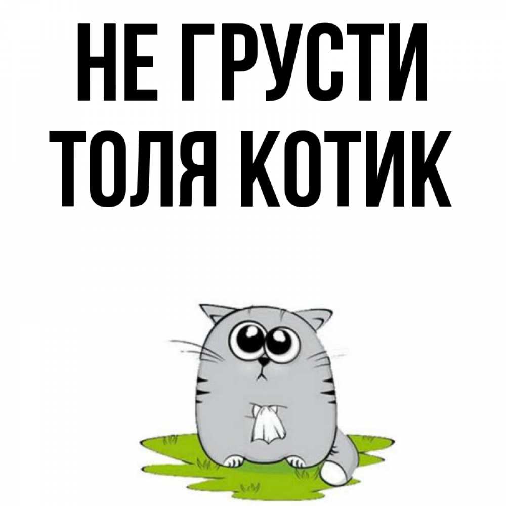 Котик Не Грусти