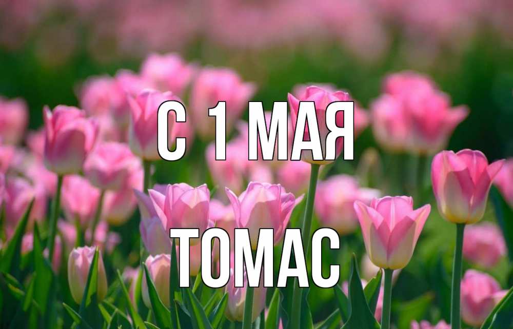 Открытка на каждый день с именем, Томас С 1 мая С 1 мая Прикольная открытка с пожеланием онлайн скачать бесплатно 