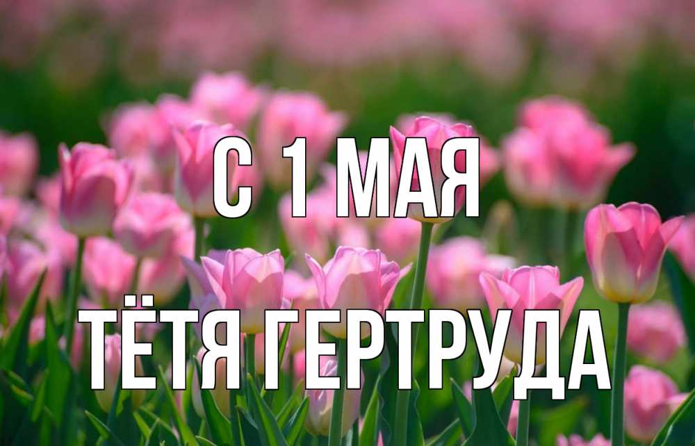 Открытка на каждый день с именем, Тётя-Гертруда С 1 мая С 1 мая Прикольная открытка с пожеланием онлайн скачать бесплатно 