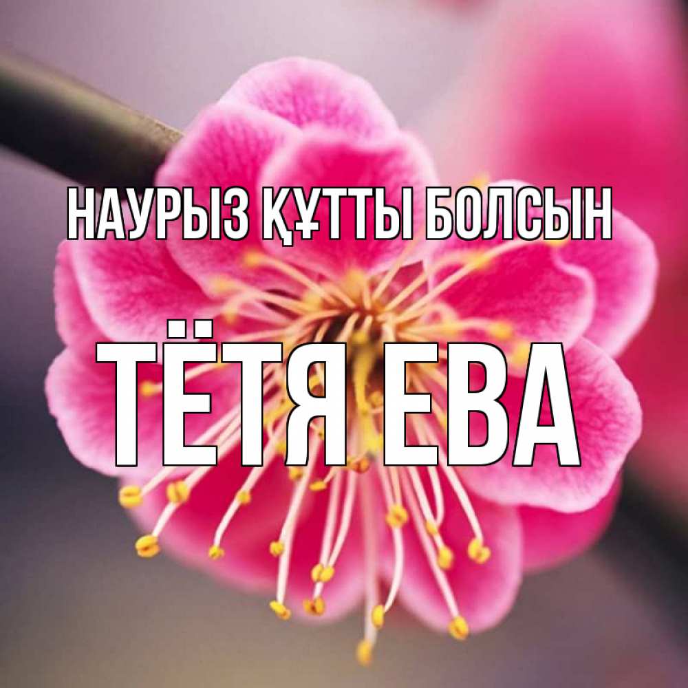 Открытка на каждый день с именем, Тётя-Ева Наурыз құтты болсын цветы Прикольная открытка с пожеланием онлайн скачать бесплатно 