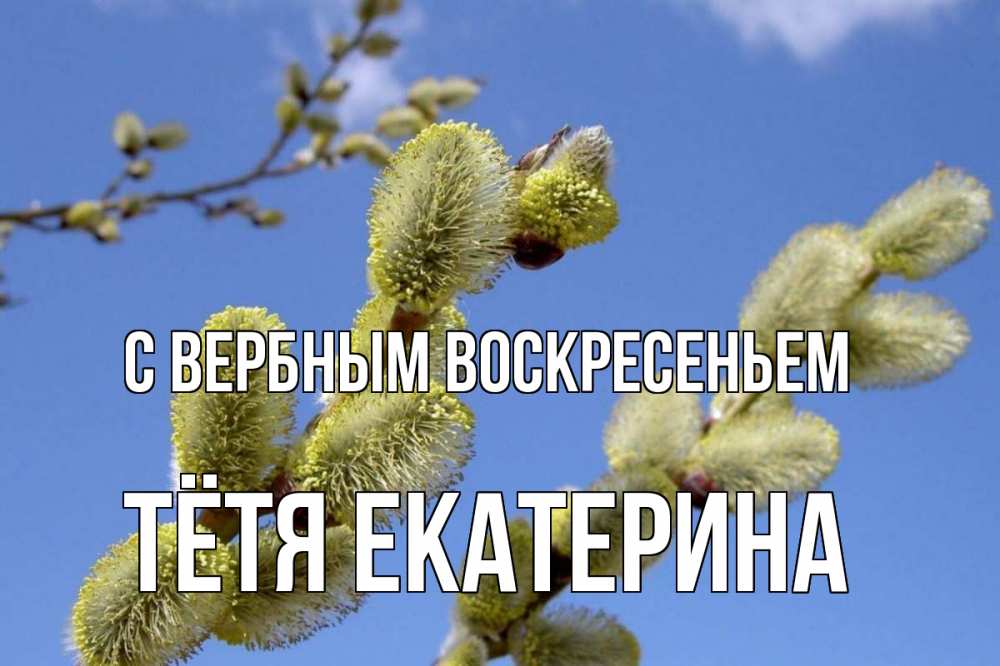 Открытка на каждый день с именем, Тётя-Екатерина С вербным воскресеньем верба Прикольная открытка с пожеланием онлайн скачать бесплатно 