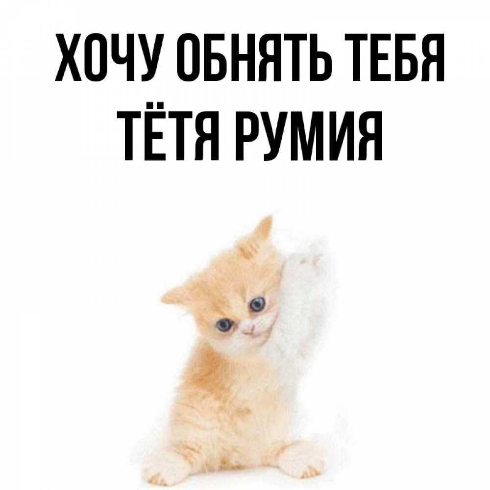 Открытка на каждый день с именем, Тётя-Румия Хочу обнять тебя я хочу очень скорее обнимаешек Прикольная открытка с пожеланием онлайн скачать бесплатно 