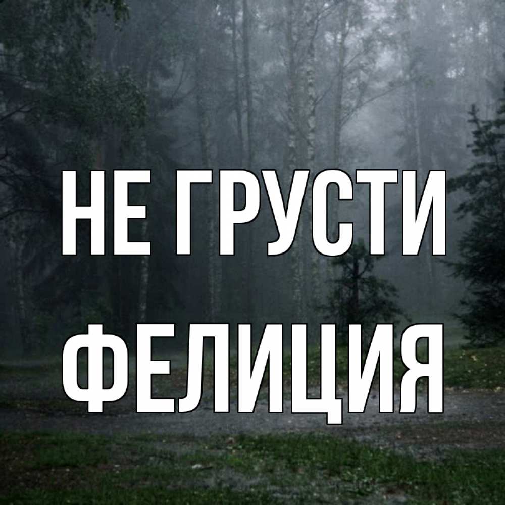 Открытка на каждый день с именем, Фелиция Не грусти осень Прикольная открытка с пожеланием онлайн скачать бесплатно 
