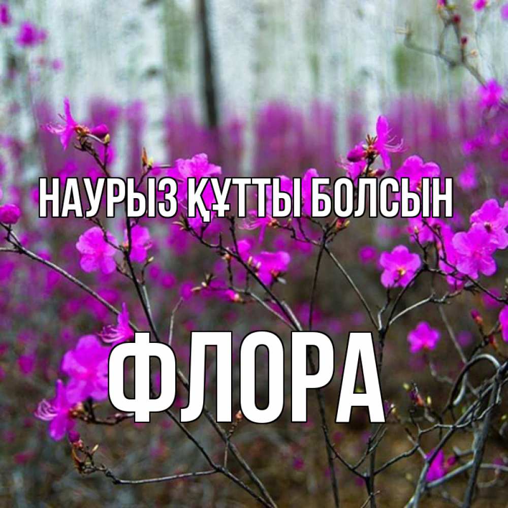 Открытка на каждый день с именем, Флора Наурыз құтты болсын дикие цветы Прикольная открытка с пожеланием онлайн скачать бесплатно 