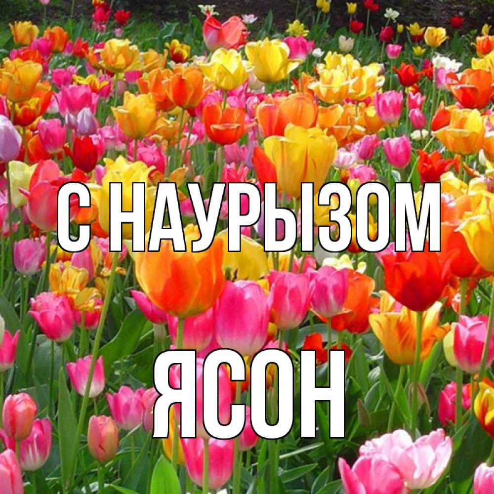 Открытка на каждый день с именем, Ясон С наурызом праздник весны наурыз 4 Прикольная открытка с пожеланием онлайн скачать бесплатно 