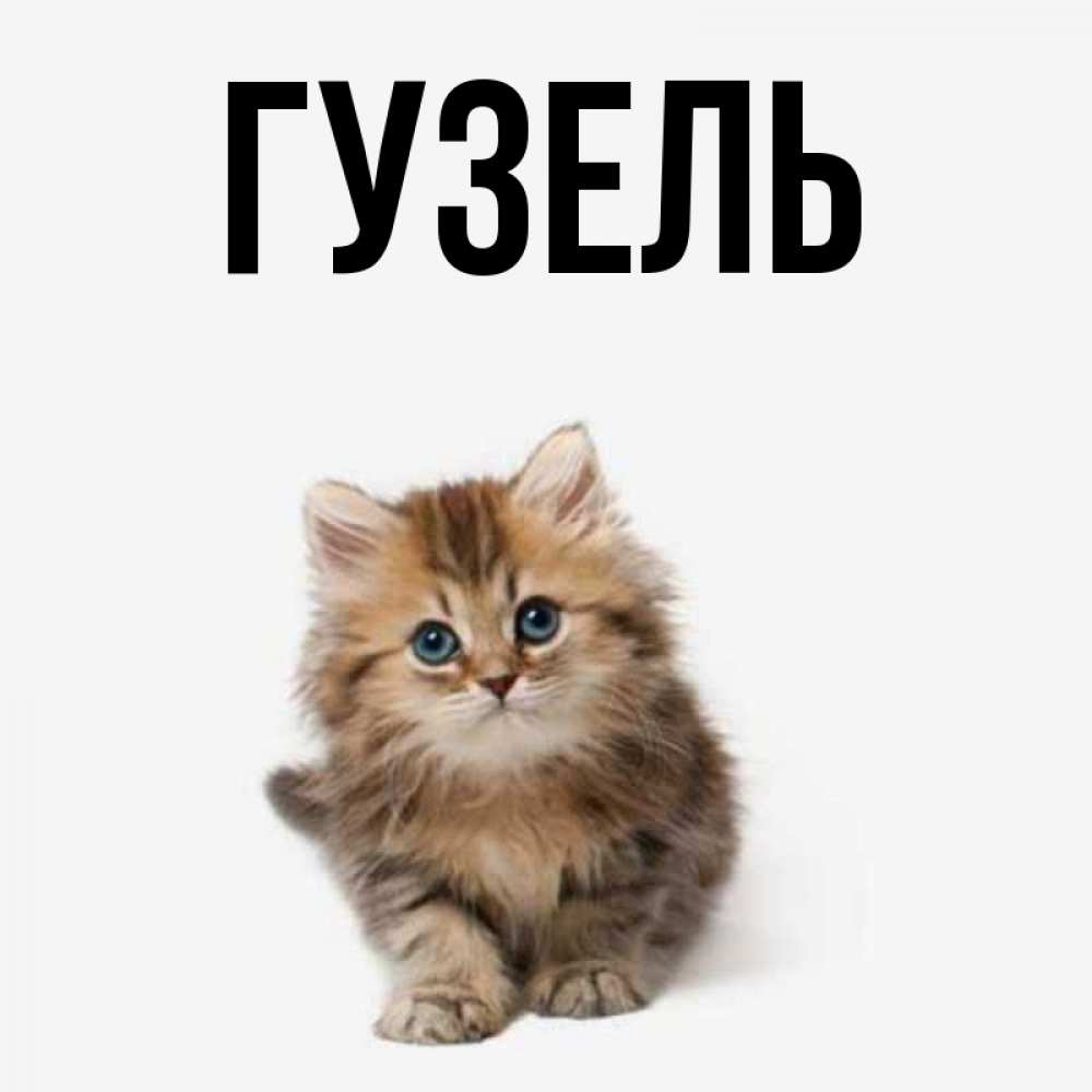 Недели картинки, с днем ро?дения гузель открытка
