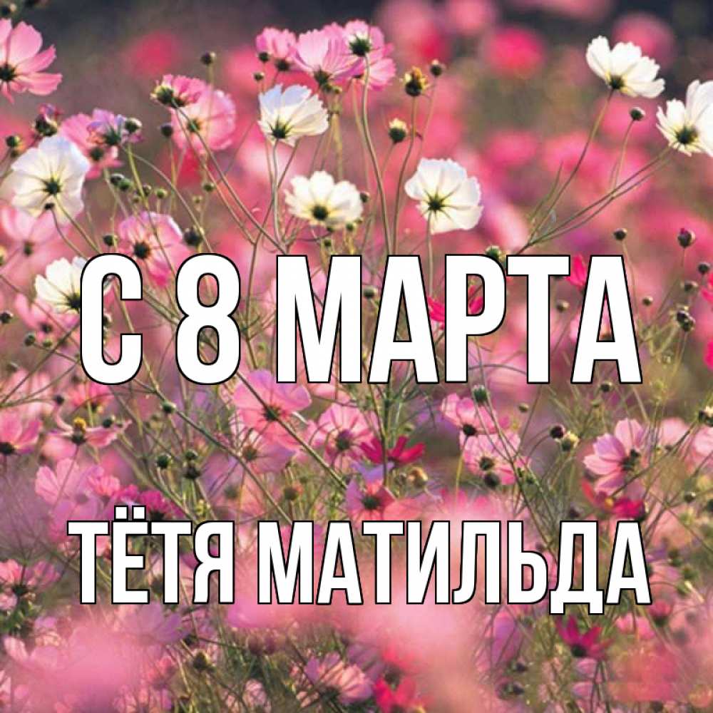 Открытка на каждый день с именем, Тётя-Матильда С 8 МАРТА красиво 1 Прикольная открытка с пожеланием онлайн скачать бесплатно 