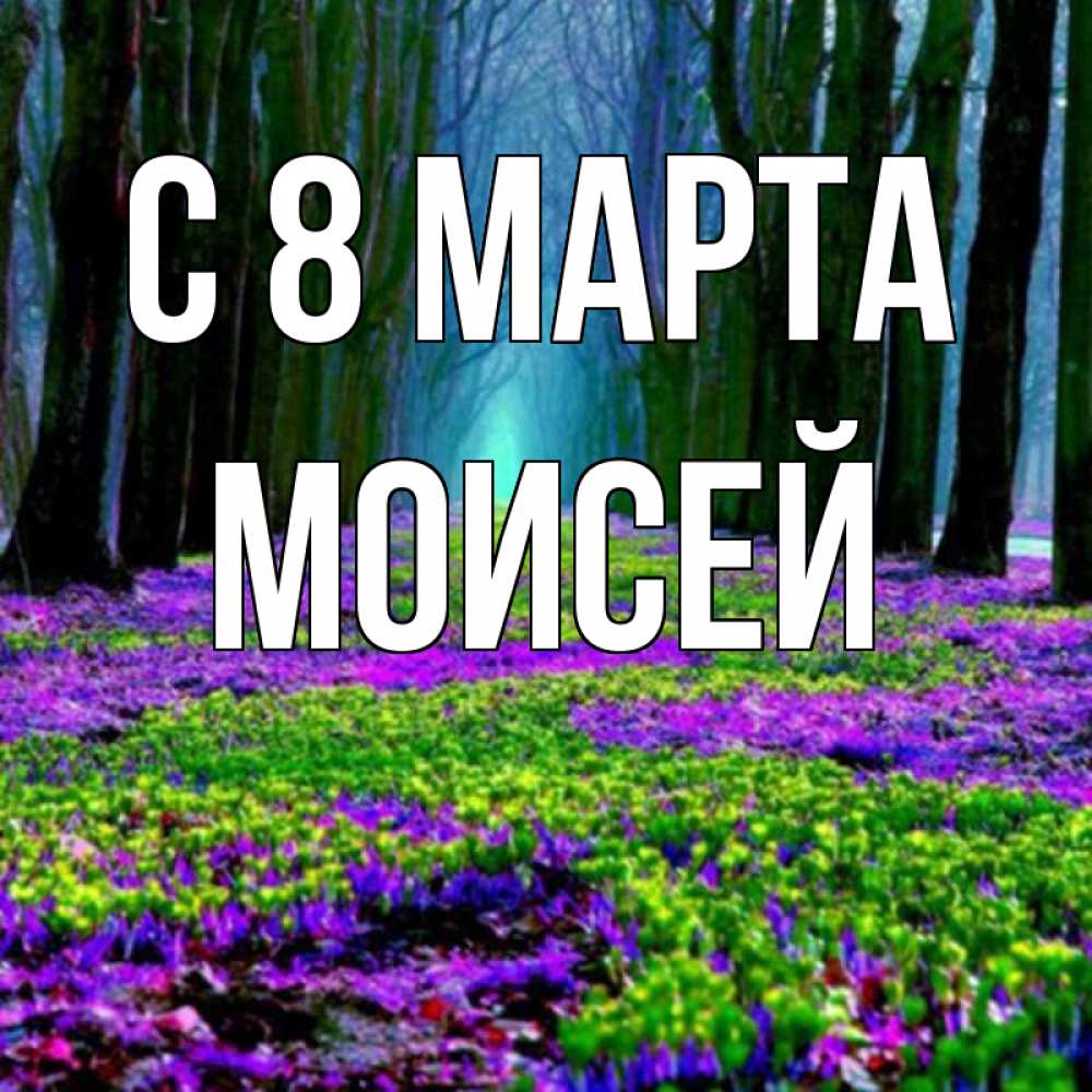 Картинка С 8 марта, Моисей