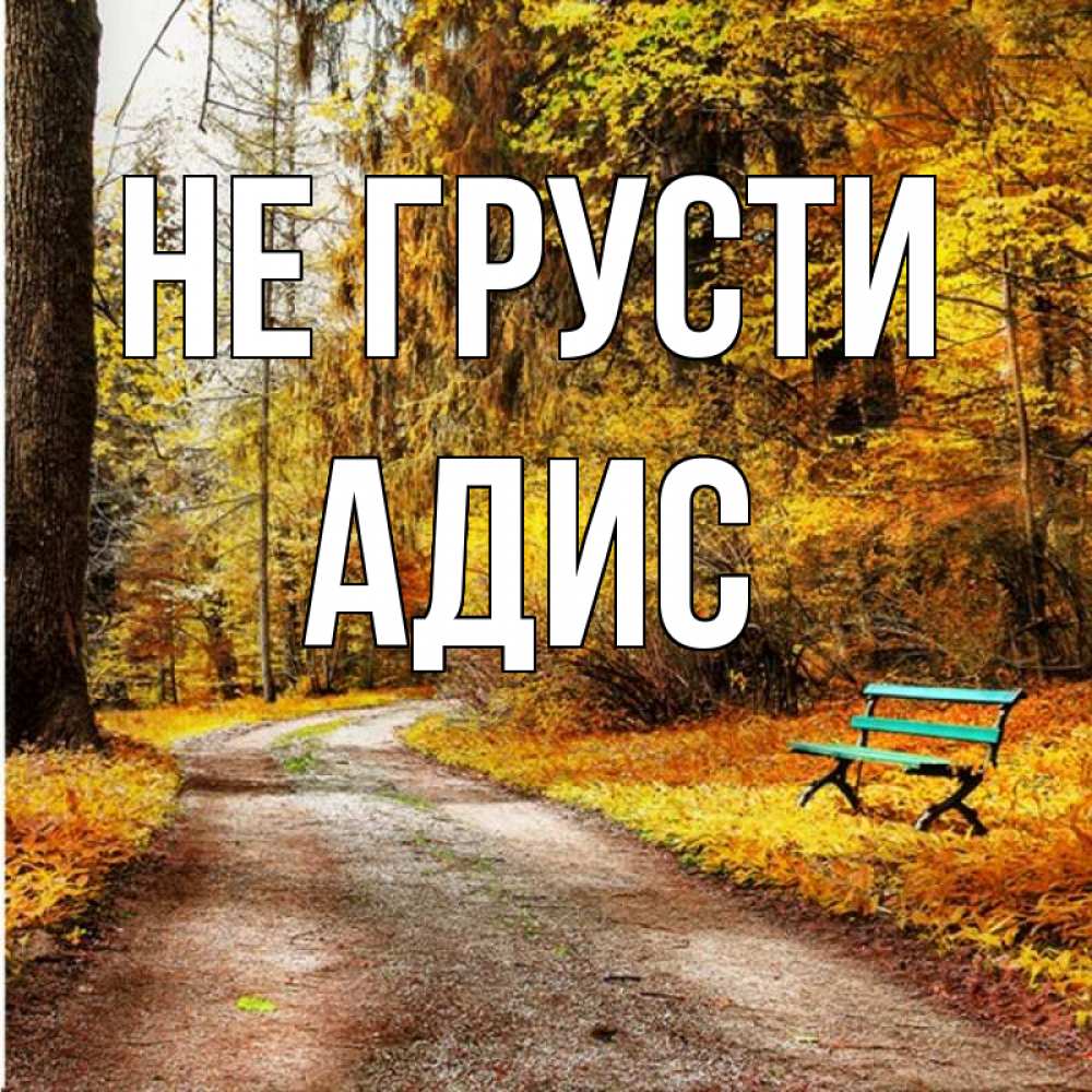 Открытка на каждый день с именем, Адис Не грусти зеленая лавочка Прикольная открытка с пожеланием онлайн скачать бесплатно 