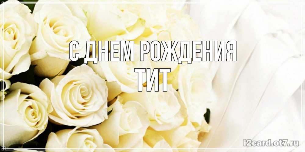 Открытка на каждый день с именем, Тит С днем рождения белые розы в букете Прикольная открытка с пожеланием онлайн скачать бесплатно 