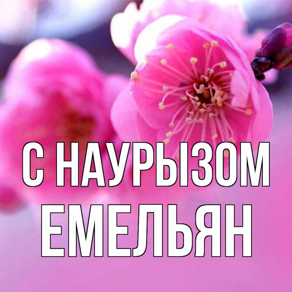 Открытка на каждый день с именем, Емельян С наурызом международный женский день Прикольная открытка с пожеланием онлайн скачать бесплатно 