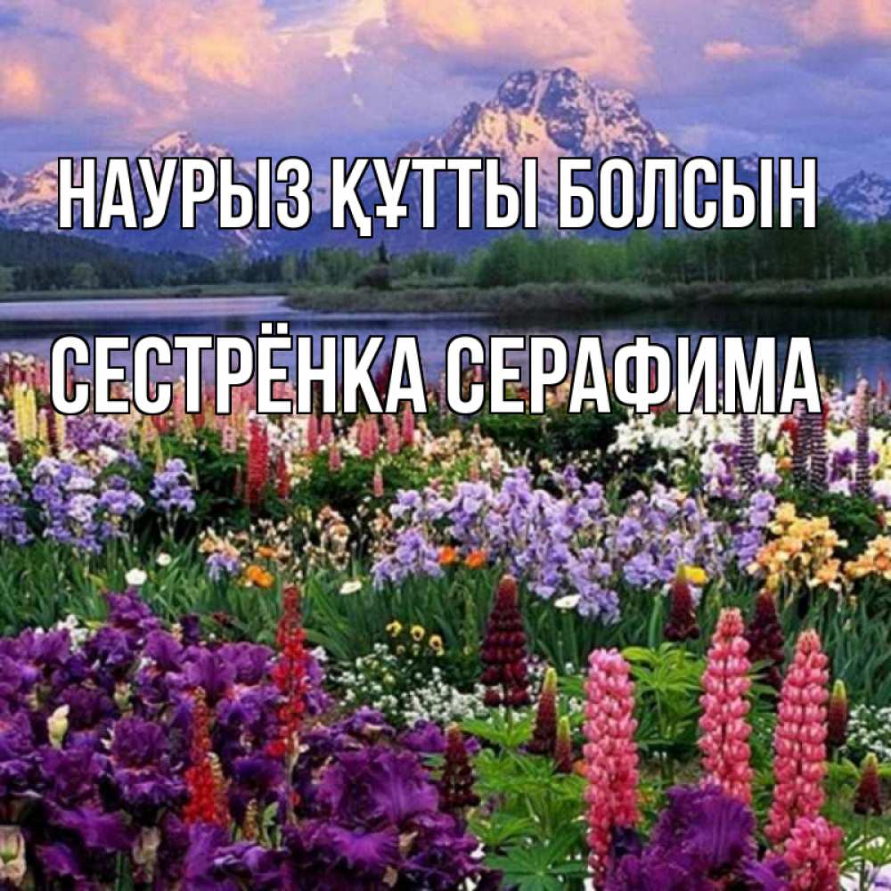 Открытка на каждый день с именем, Сестрёнка-Серафима Наурыз құтты болсын наурыз Прикольная открытка с пожеланием онлайн скачать бесплатно 