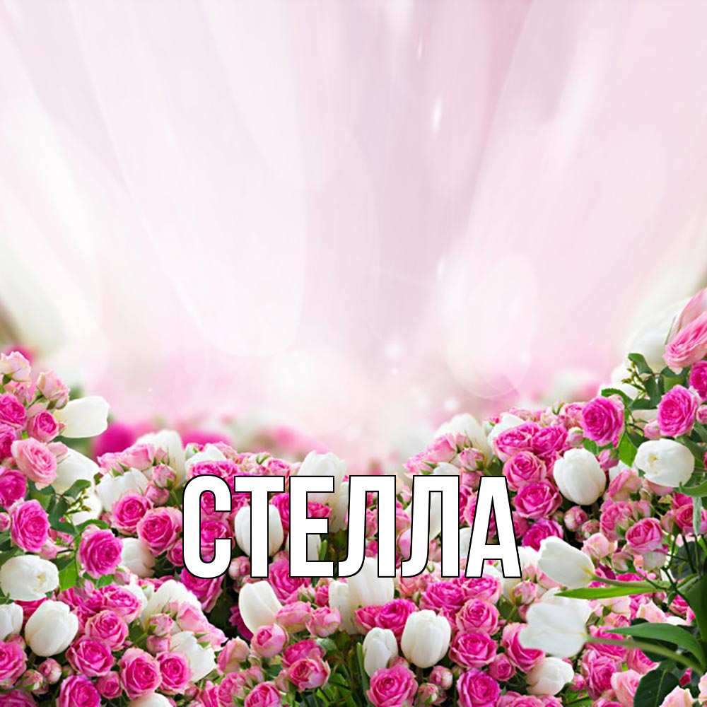 Картинка  с именем , Стелла