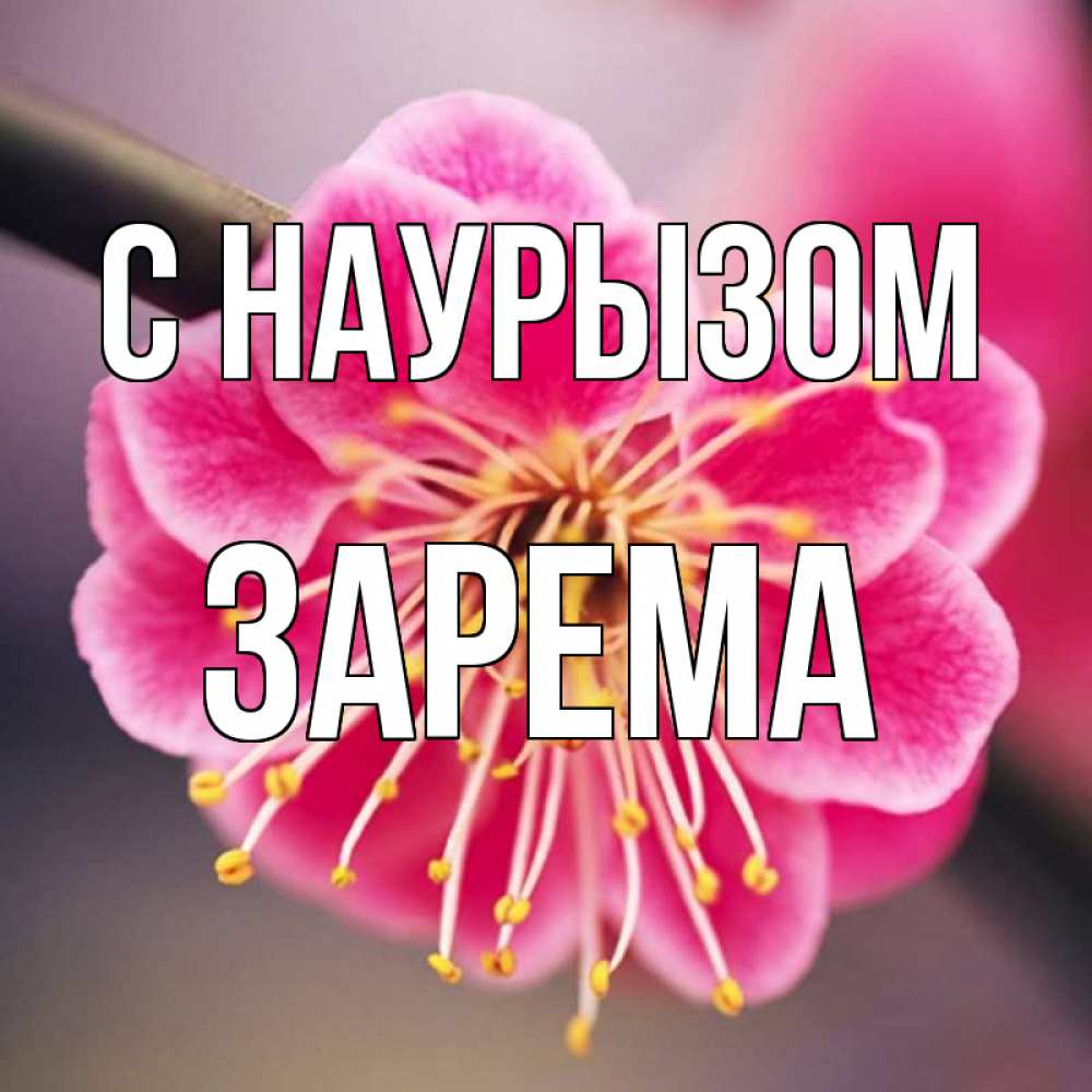 Открытка на каждый день с именем, Зарема С наурызом цветы Прикольная открытка с пожеланием онлайн скачать бесплатно 