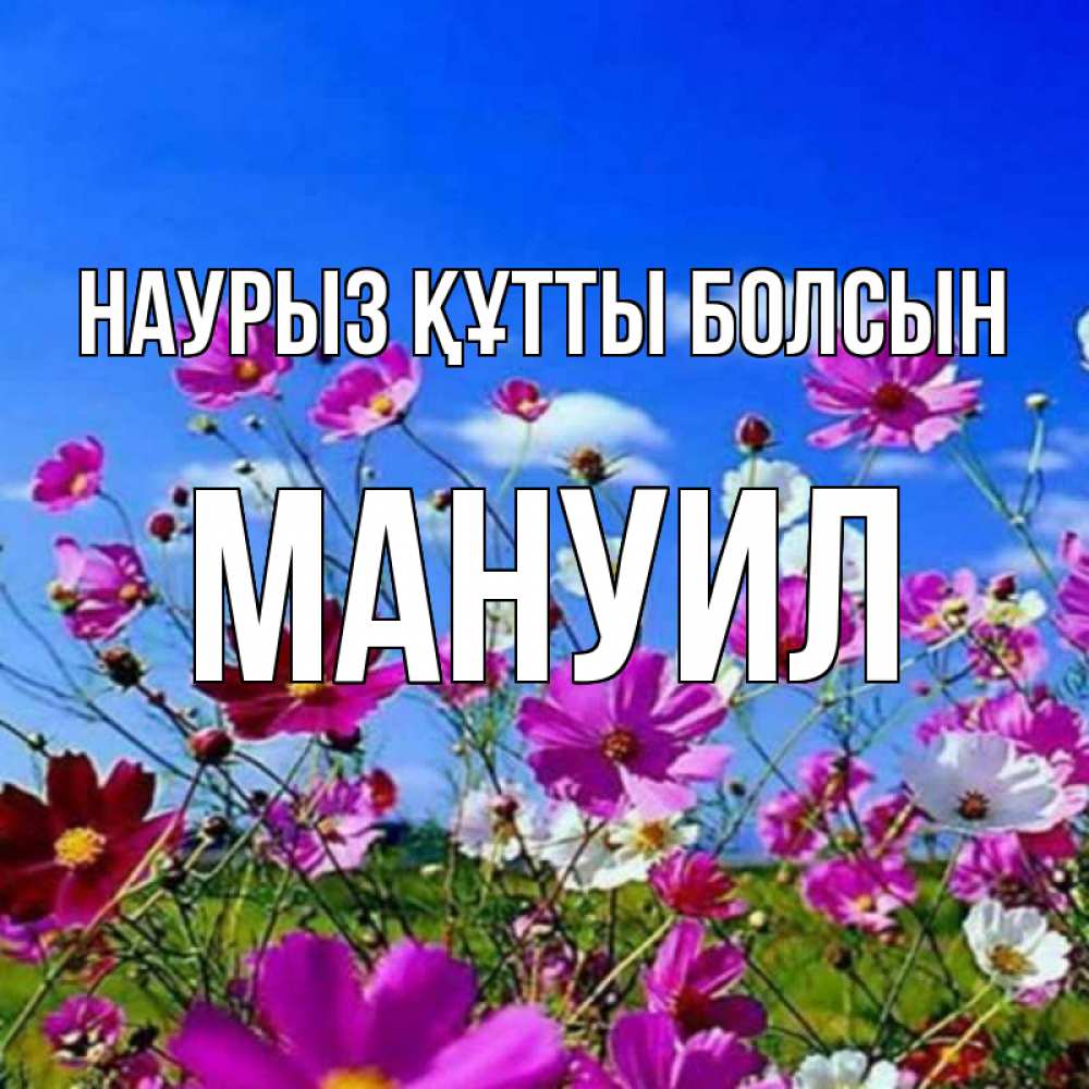 Открытка на каждый день с именем, Мануил Наурыз құтты болсын цветы Прикольная открытка с пожеланием онлайн скачать бесплатно 